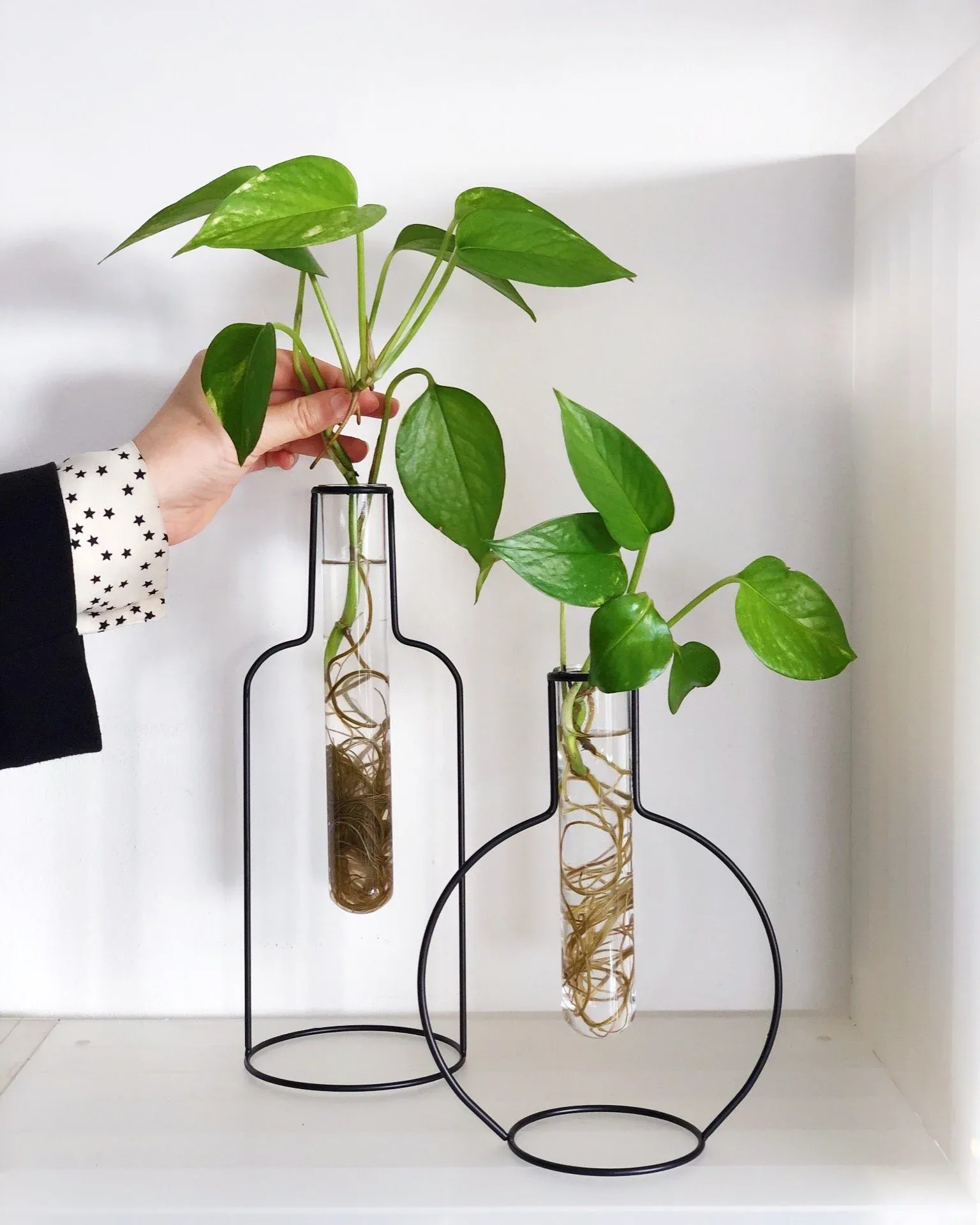 Floreros geométricos