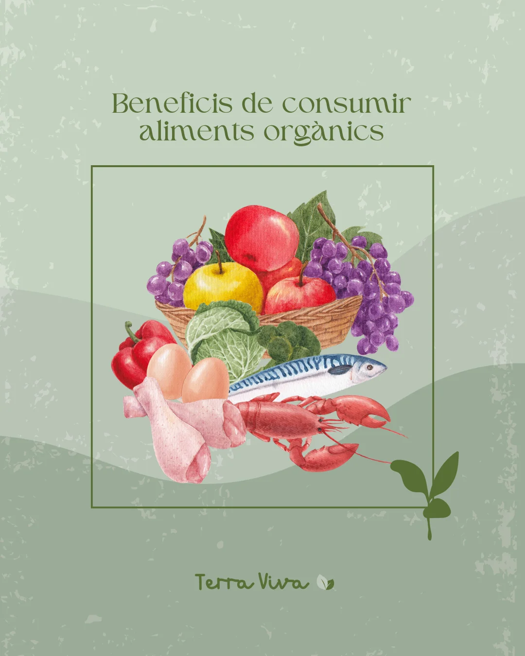 Post para Mindara Adicciones