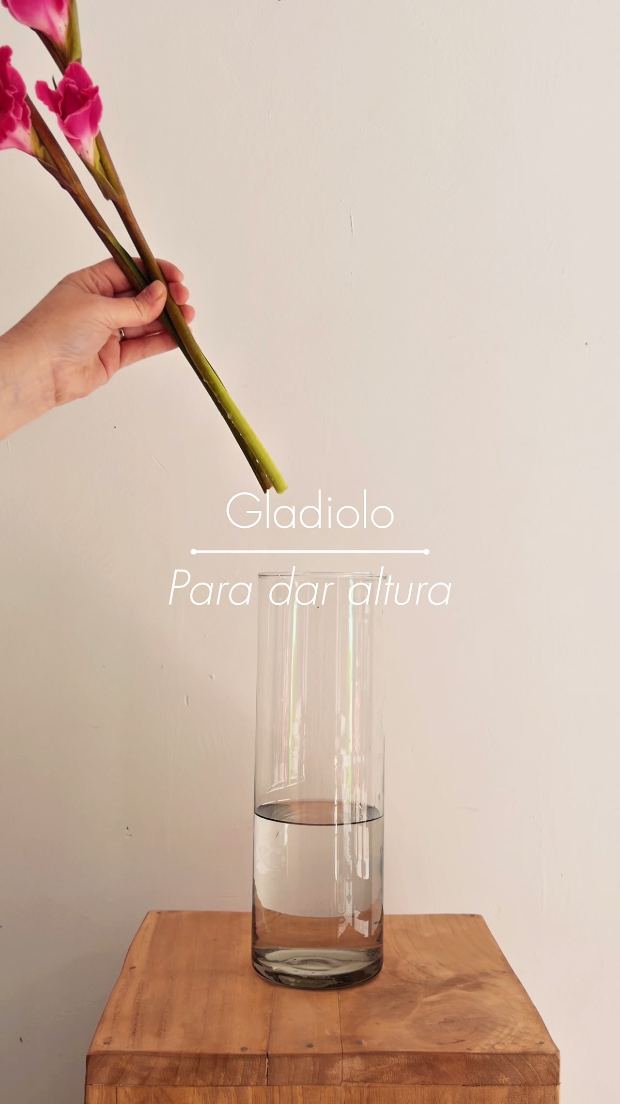 Vídeo Jarrón