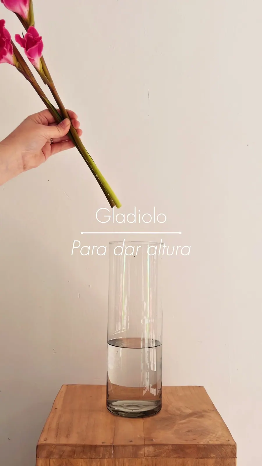 Vídeo Jarrón
