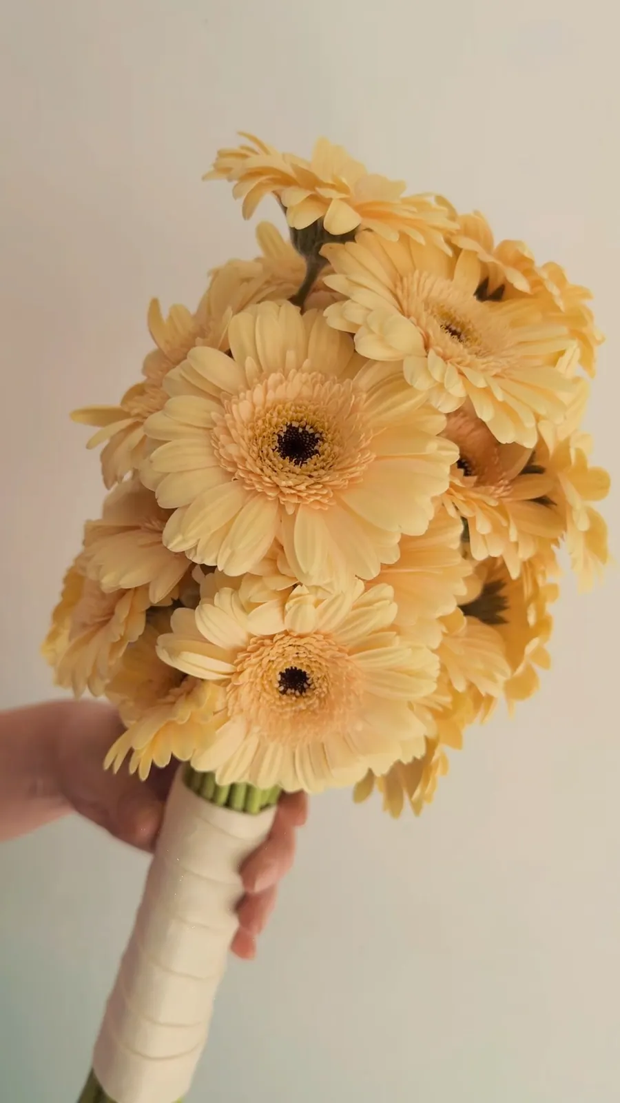 Reel · Ramo de novia con gerberas amarillas pastel sostenido en mano sobre fondo cream — Entre Jazmines y Lavandas